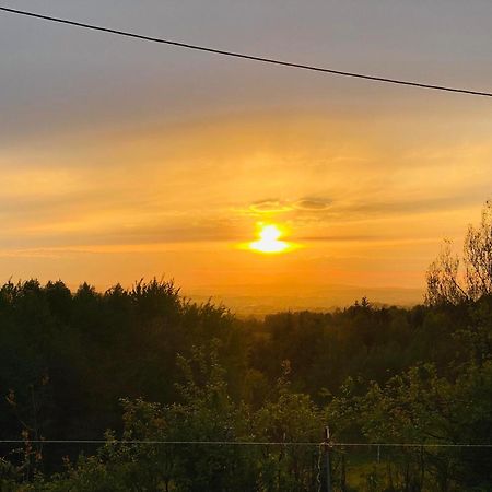 Apartamento Zacisze Na Podzamczu Odrzykon Exterior foto